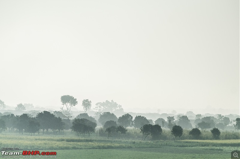 Winter wanderings - Rural Bengal & Meghalaya!-_dsc7703.jpg