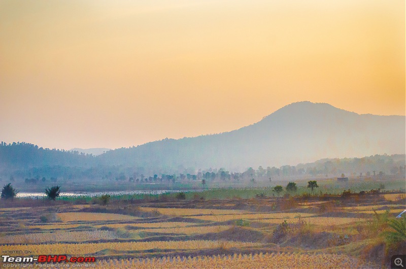 Winter wanderings - Rural Bengal & Meghalaya!-_dsc7741.jpg