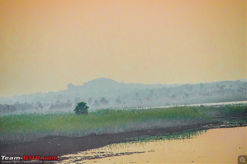 Winter wanderings - Rural Bengal & Meghalaya!-_dsc7770.jpg