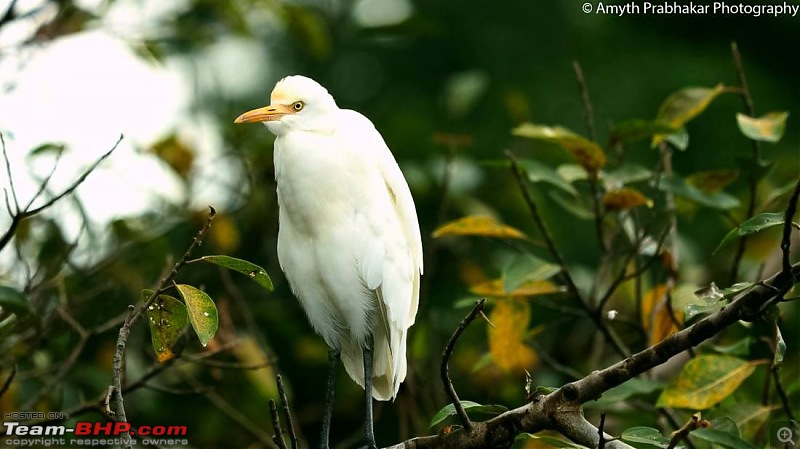 A day out @ Ranganathittu Bird Sanctuary-14.jpg