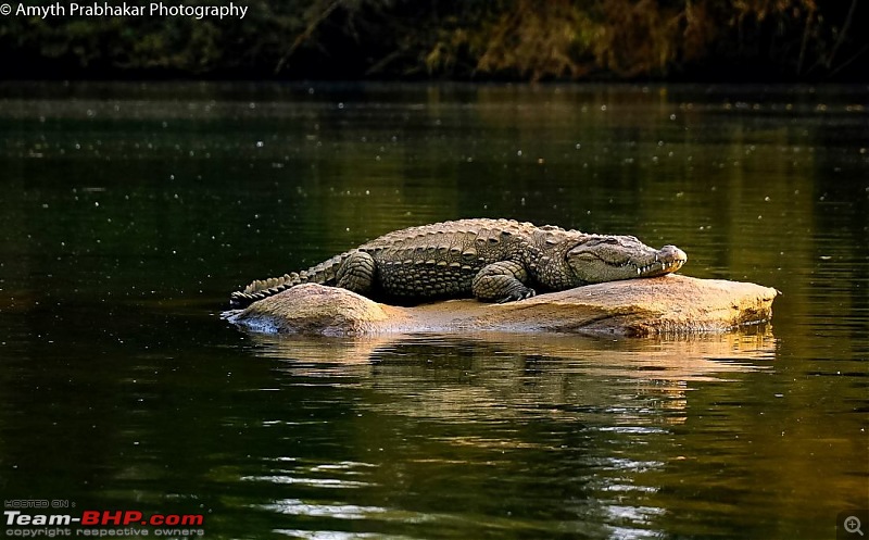 A day out @ Ranganathittu Bird Sanctuary-33.jpg