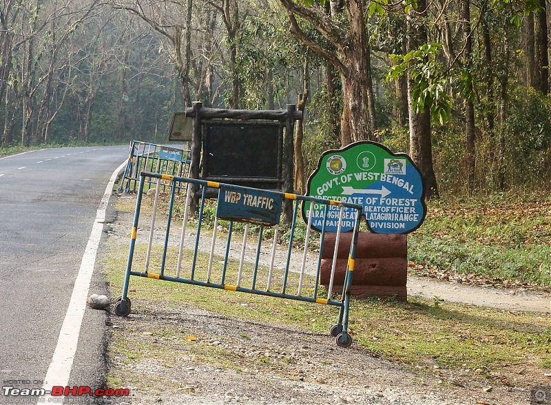 Ciazzler Roadtrip | 4700 km, a wedding (Kolkata) and forests (Jaldapara & Gorumara)-northbengal_98k2000.jpg