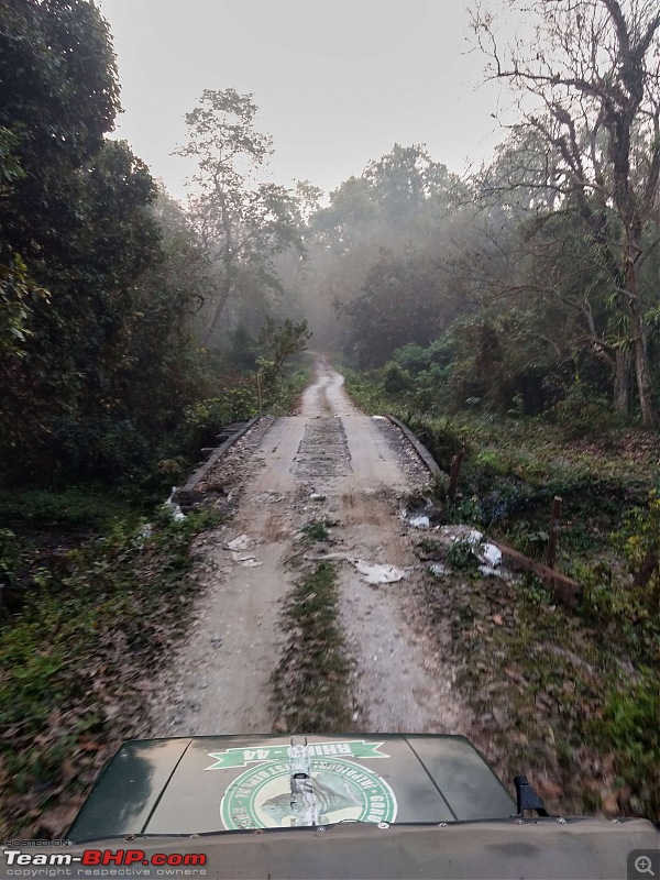 Ciazzler Roadtrip | 4700 km, a wedding (Kolkata) and forests (Jaldapara & Gorumara)-northbengal_270k2000.jpg