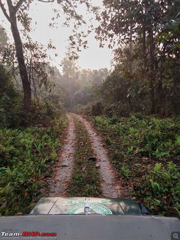 Ciazzler Roadtrip | 4700 km, a wedding (Kolkata) and forests (Jaldapara & Gorumara)-northbengal_272k2000.jpg