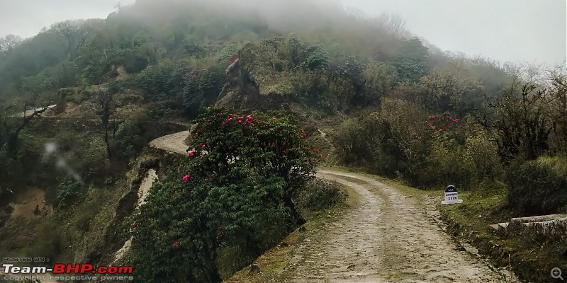 Sandakphu: The highest peak of Bengal in a Duster AWD-narrow-road.jpg