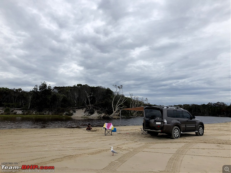 Exploring new frontiers : Trip to the Bribie Sand Island, off Brisbane-img_3564.jpg