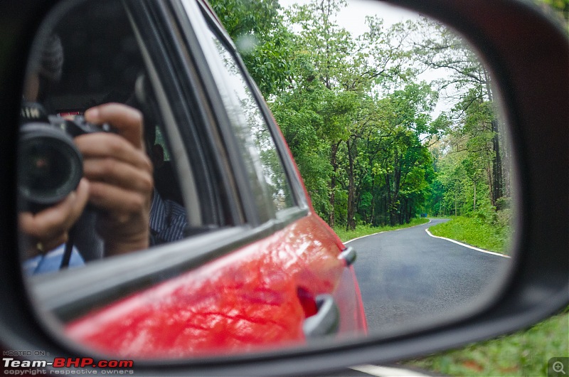 A Summer Drive to the Dooars-11_dsc8193.jpg