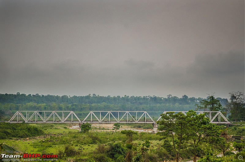 A Summer Drive to the Dooars-17_dsc8242.jpg