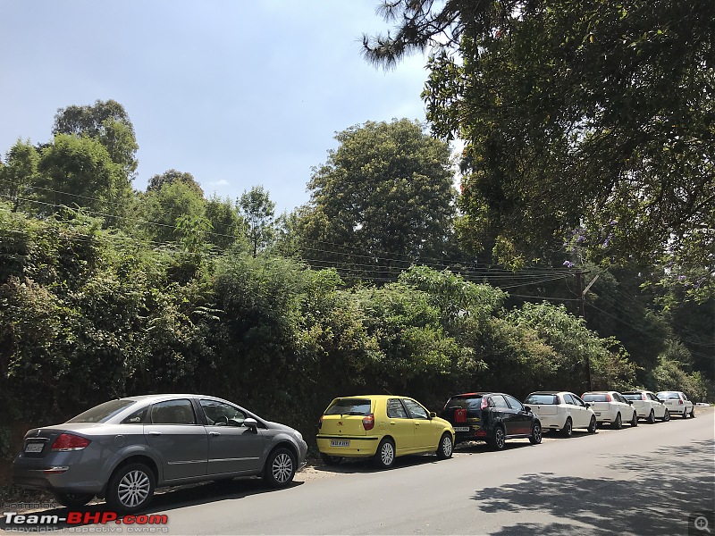 Italian Invasion: A group of Fiats drive to Kalhatti, Ooty-e88174c0782a46c3b6eb521fb5b83def.jpeg