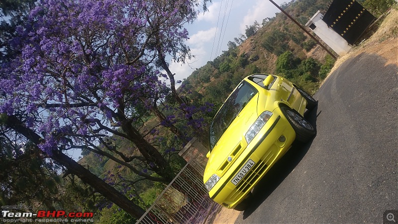 Italian Invasion: A group of Fiats drive to Kalhatti, Ooty-img_20190330_115152.jpg