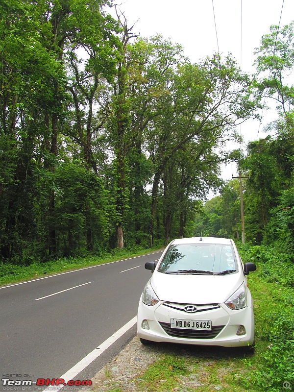 Road-trip to the serene yet majestic Borong (South Sikkim)-img_0520.jpg