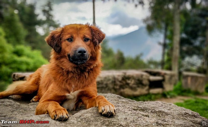 Hyderabad - Bhutan in a Duster AWD-img_20190524_134957_bokeh.jpg