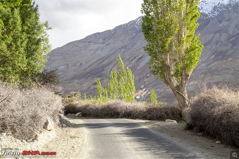 Ladakh Re-Juleh'd! With Siachen - Panamic - Agham - Mitpal Tso - Kaksang La - Tso Kar - Kyun Tso-img_8877.jpg