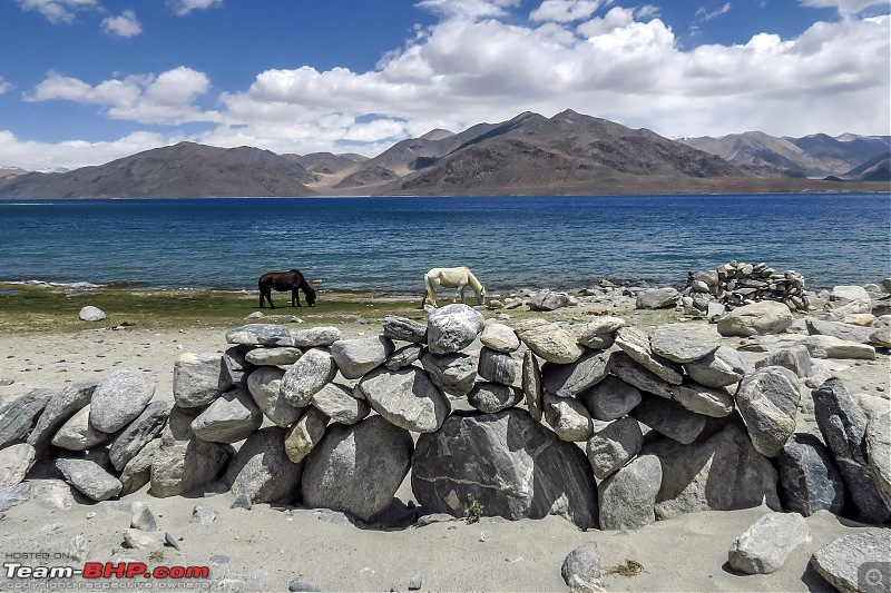 Ladakh Re-Juleh'd! With Siachen - Panamic - Agham - Mitpal Tso - Kaksang La - Tso Kar - Kyun Tso-img_9897.jpg