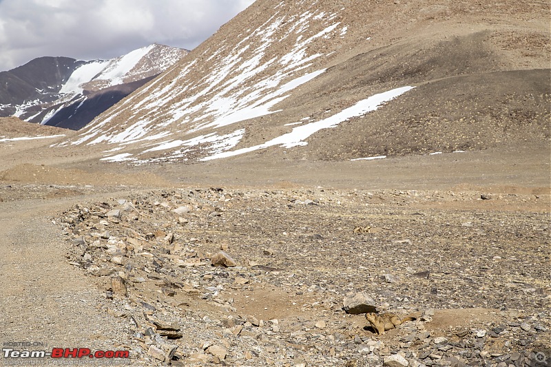 Ladakh Re-Juleh'd! With Siachen - Panamic - Agham - Mitpal Tso - Kaksang La - Tso Kar - Kyun Tso-img_9205.jpg