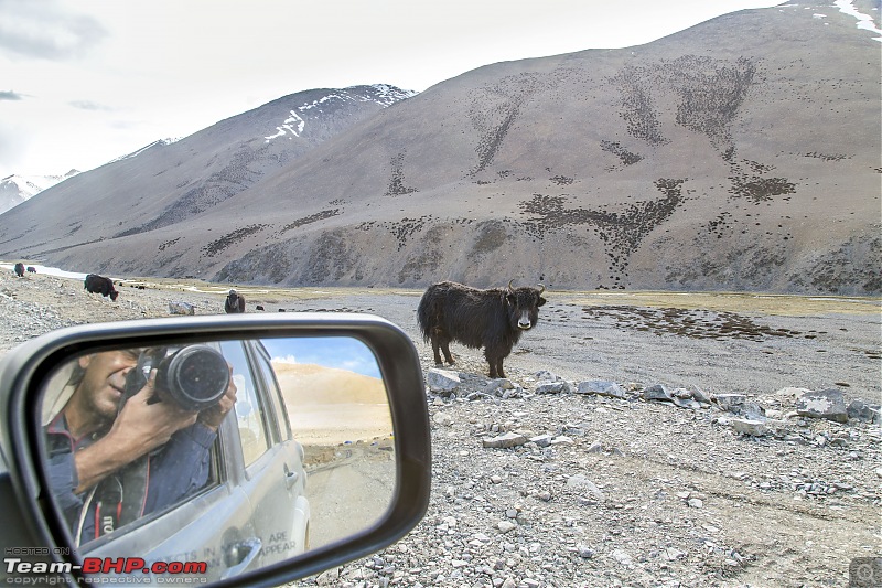Ladakh Re-Juleh'd! With Siachen - Panamic - Agham - Mitpal Tso - Kaksang La - Tso Kar - Kyun Tso-img_9215.jpg