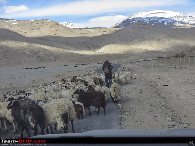 Ladakh Re-Juleh'd! With Siachen - Panamic - Agham - Mitpal Tso - Kaksang La - Tso Kar - Kyun Tso-img_0126.jpg