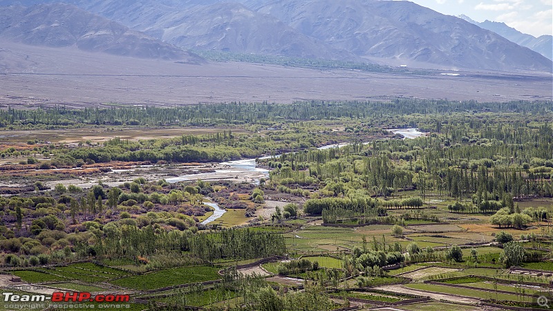 Ladakh Re-Juleh'd! With Siachen - Panamic - Agham - Mitpal Tso - Kaksang La - Tso Kar - Kyun Tso-img_94391.jpg