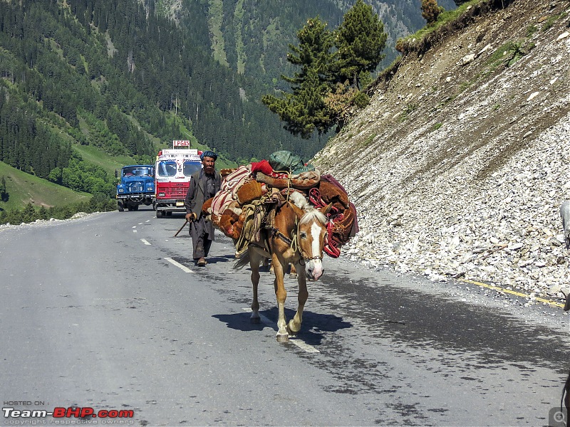 Ladakh Re-Juleh'd! With Siachen - Panamic - Agham - Mitpal Tso - Kaksang La - Tso Kar - Kyun Tso-img_88091.jpg