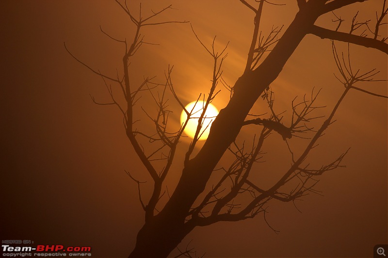 Into the Wild  Road trip to Dudhwa National Park & Tiger Reserve-compress-22-copy.jpg