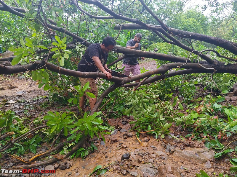 A short trip to Tungareshwar National Park, Vasai-chop-chop.jpg