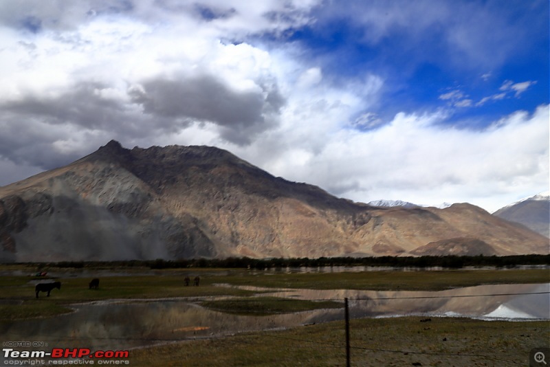 Got Leh'd : A dream come true trip!-_mg_1641.jpg