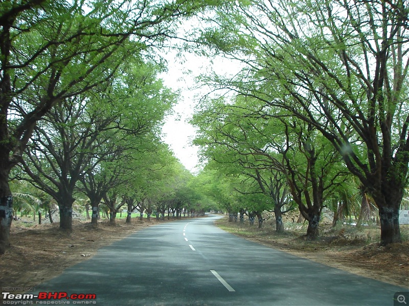 Bangalore  Munnar /Thekkady /Kochi in Swift D..-dsc08379.jpg