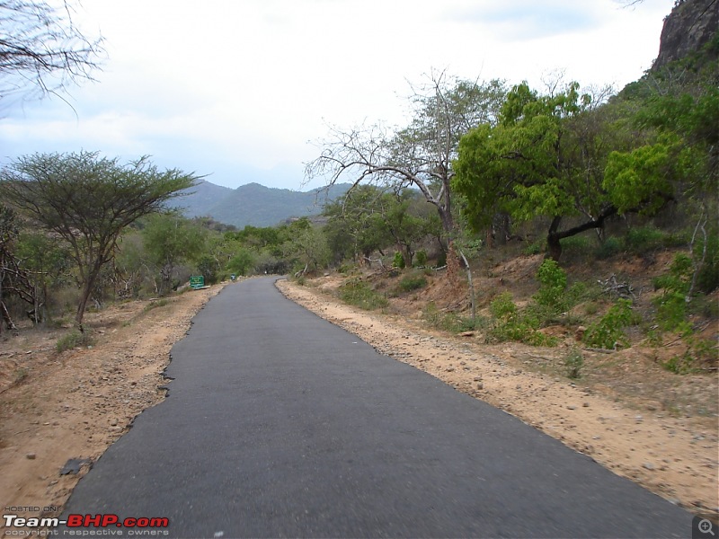 Bangalore  Munnar /Thekkady /Kochi in Swift D..-dsc08388.jpg