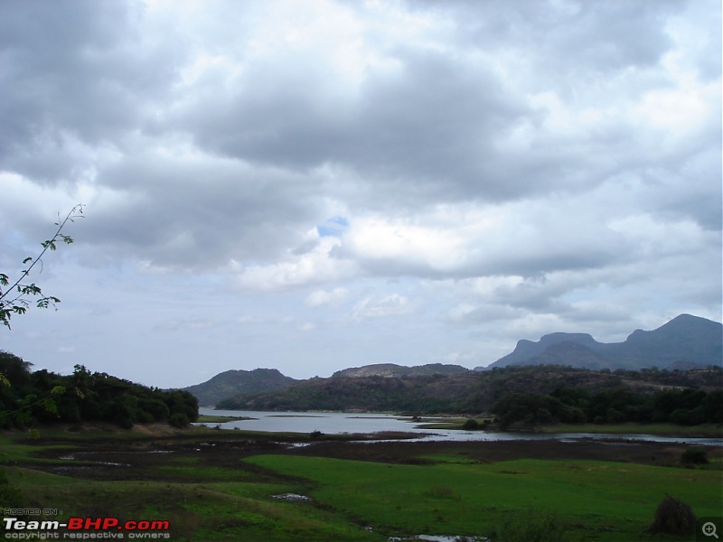 Bangalore  Munnar /Thekkady /Kochi in Swift D..-dsc08390.jpg