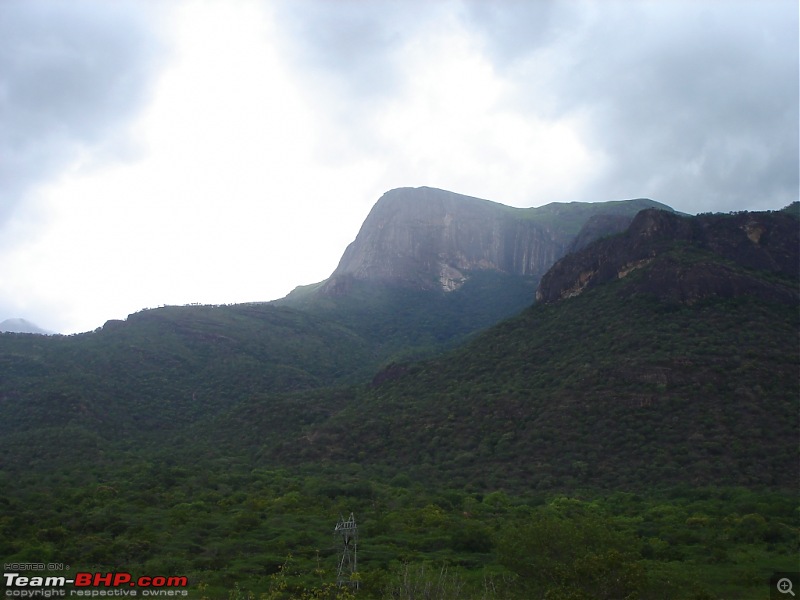 Bangalore  Munnar /Thekkady /Kochi in Swift D..-dsc08392.jpg