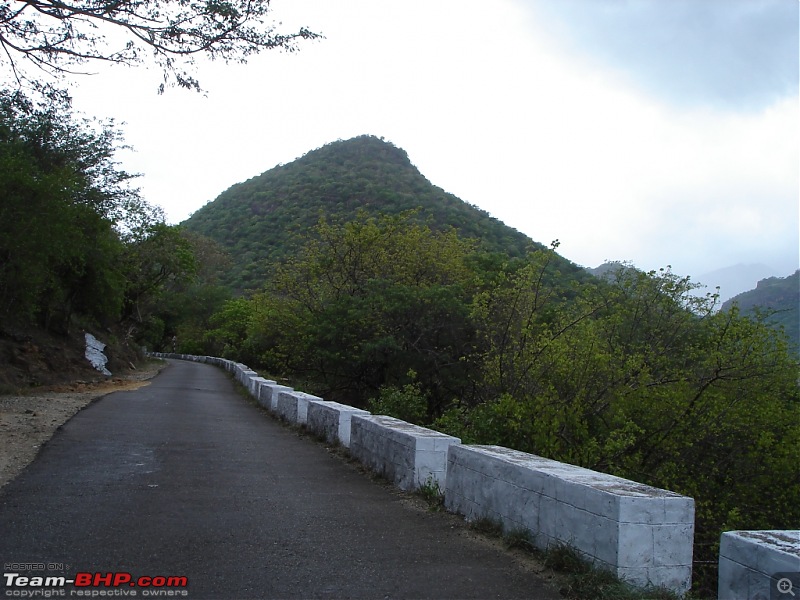 Bangalore  Munnar /Thekkady /Kochi in Swift D..-dsc08395.jpg