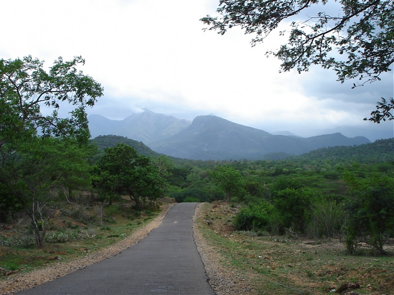 Bangalore  Munnar /Thekkady /Kochi in Swift D..-dsc08401.jpg