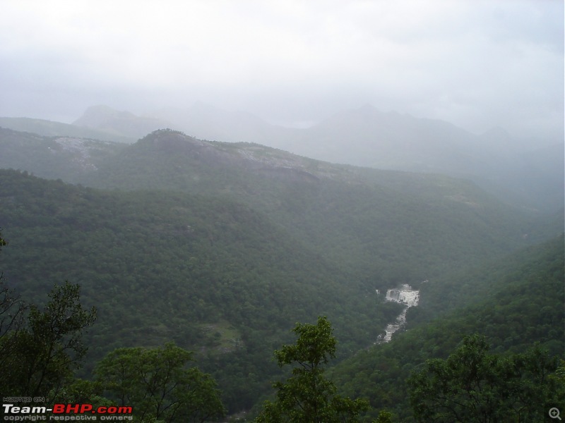 Bangalore  Munnar /Thekkady /Kochi in Swift D..-dsc08434.jpg