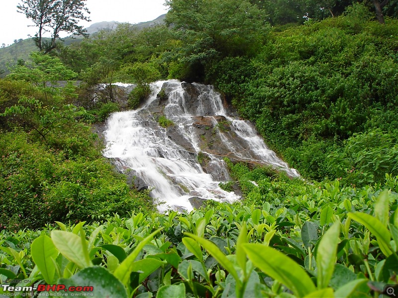 Bangalore  Munnar /Thekkady /Kochi in Swift D..-dsc08484.jpg