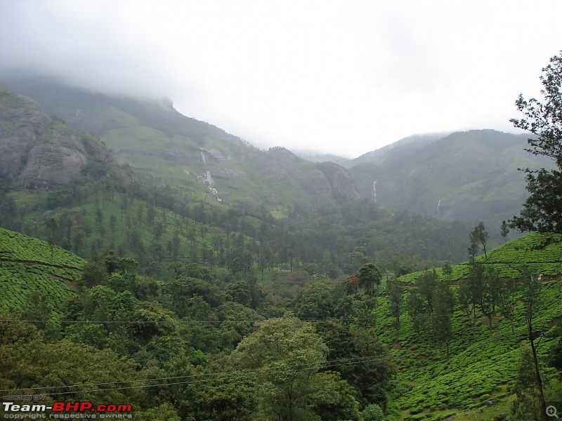 Bangalore  Munnar /Thekkady /Kochi in Swift D..-dsc08491.jpg