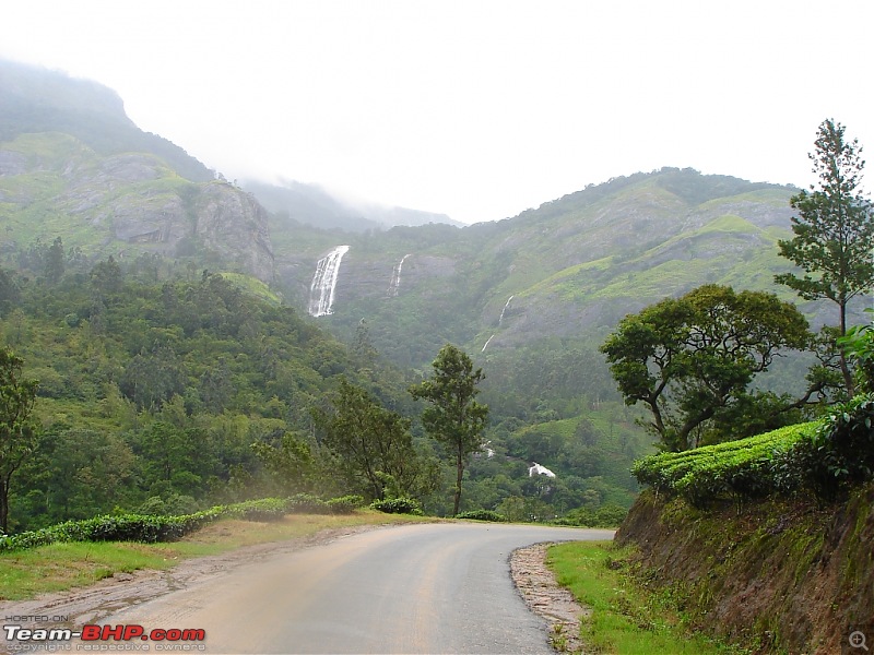 Bangalore  Munnar /Thekkady /Kochi in Swift D..-dsc08503.jpg