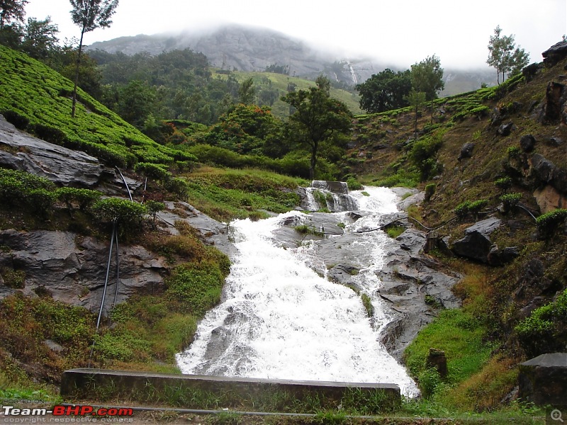 Bangalore  Munnar /Thekkady /Kochi in Swift D..-dsc08510.jpg