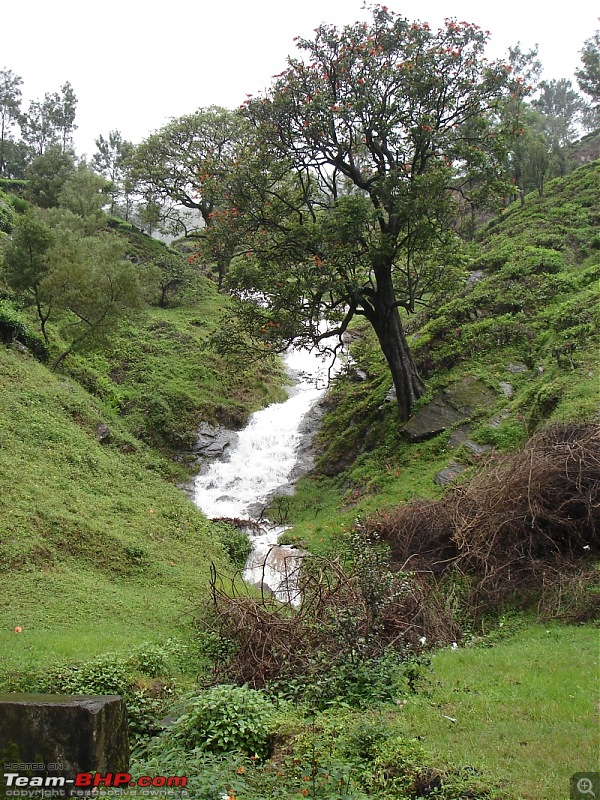 Bangalore  Munnar /Thekkady /Kochi in Swift D..-dsc08513.jpg