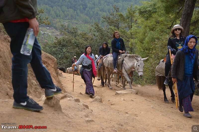 An unplanned drive: Bangalore to Bhutan in an EcoSport-dsc_0051min.jpg