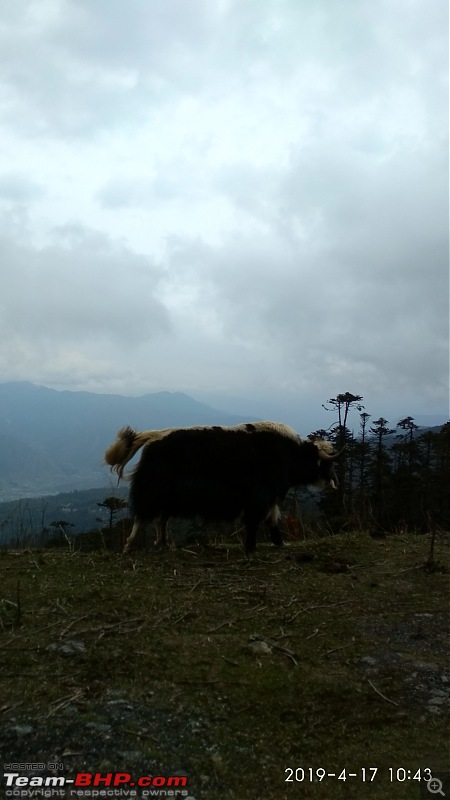 An unplanned drive: Bangalore to Bhutan in an EcoSport-img_20190417_104358_hdr.jpg