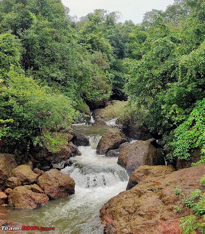 Some people feel the rain; others just get wet - Monsoon drive to the Western Ghats-img_20190721_13220701.jpeg