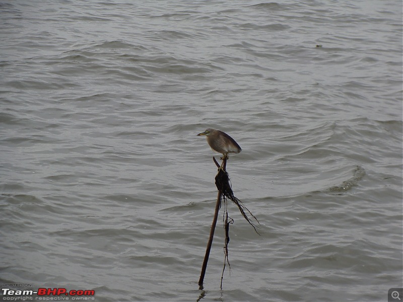 Gujarat - Kerala Odyssey !-goa-kerela-101.jpg