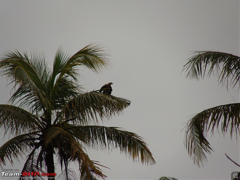 Gujarat - Kerala Odyssey !-goa-kerela-002.jpg