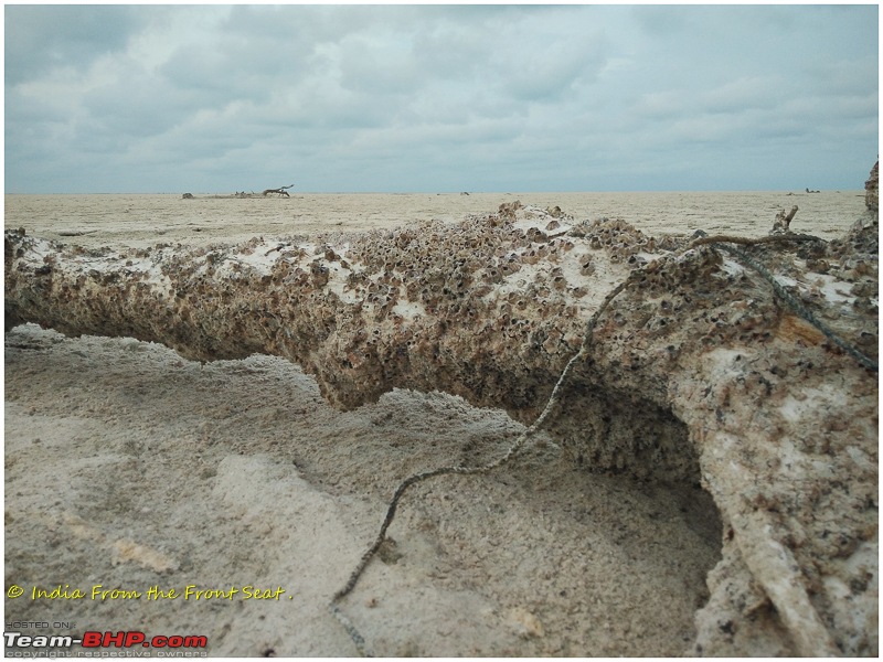 S-Cross'd : Land's End (Dhanushkodi)-img_20190713_173455edit.jpg