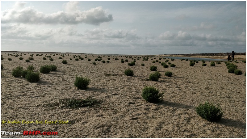 S-Cross'd : Land's End (Dhanushkodi)-img_20190714_071927edit.jpg