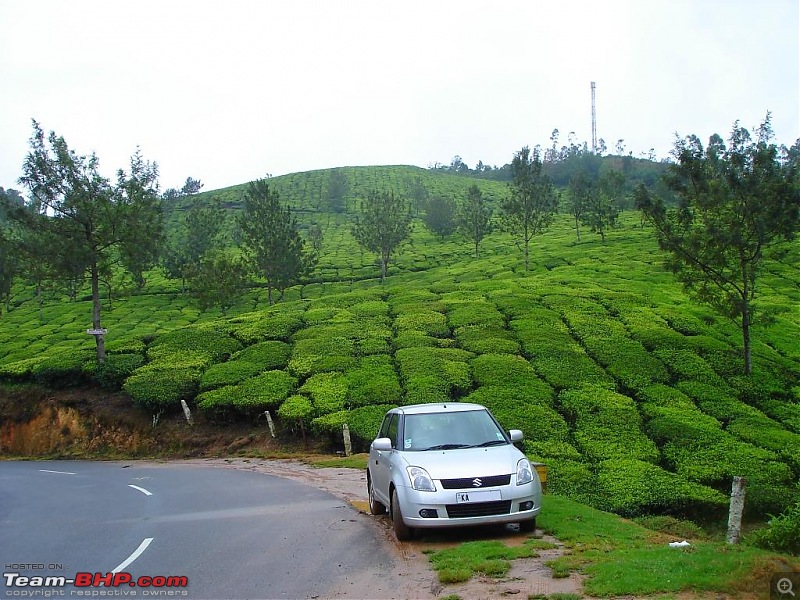 Bangalore  Munnar /Thekkady /Kochi in Swift D..-dsc08615.jpg