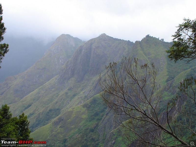 Bangalore  Munnar /Thekkady /Kochi in Swift D..-dsc08629.jpg