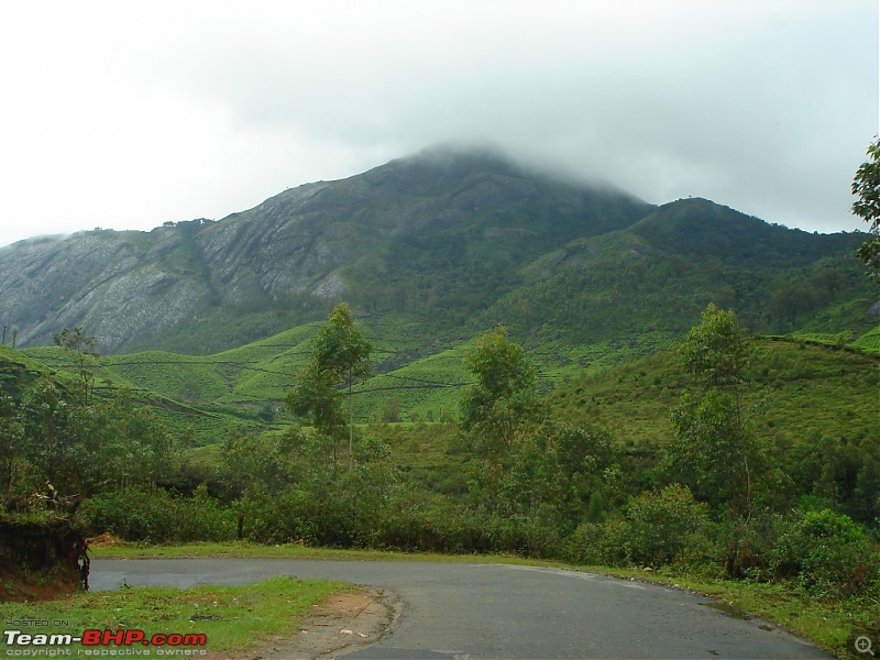 Bangalore  Munnar /Thekkady /Kochi in Swift D..-dsc08713.jpg