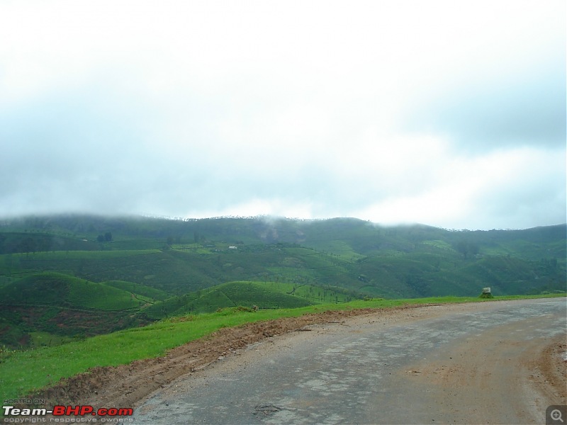 Bangalore  Munnar /Thekkady /Kochi in Swift D..-dsc08718.jpg