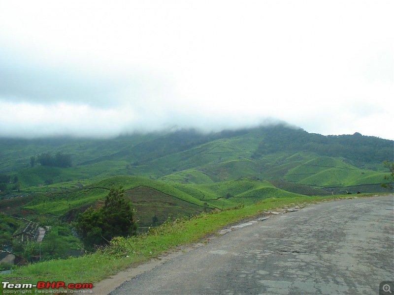 Bangalore  Munnar /Thekkady /Kochi in Swift D..-dsc08720.jpg